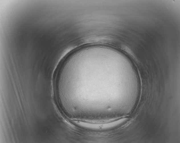 X0000066941079200604142017