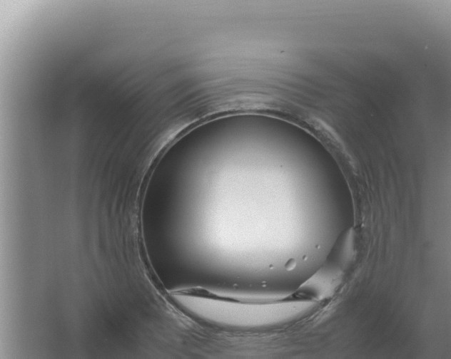 X0000066941081200604142017