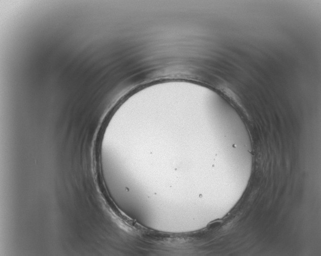 X0000066941082200604142017