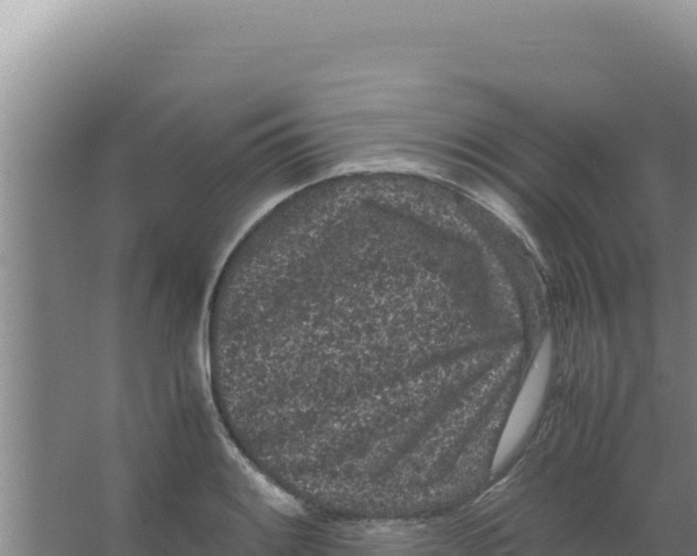 X0000066941084200604142017