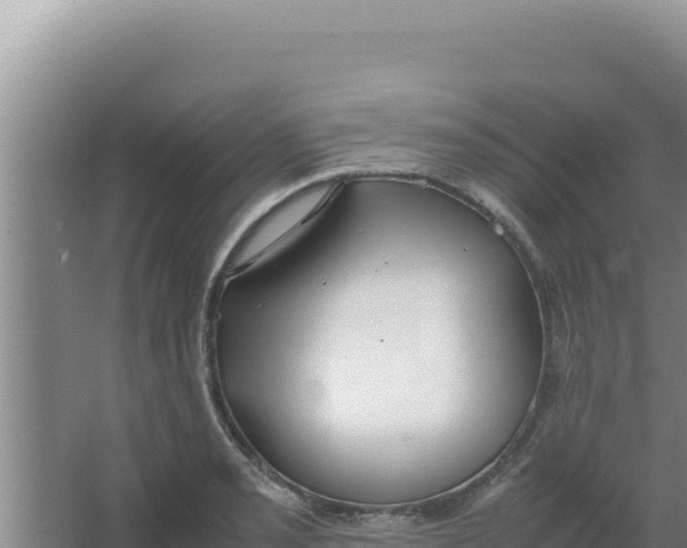 X0000066941085200604142017