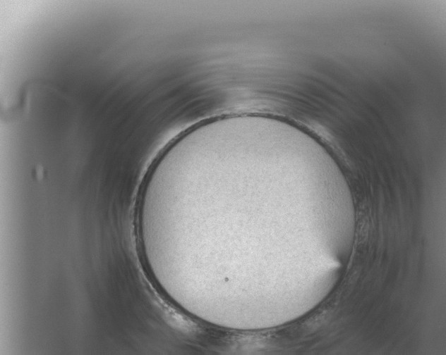 X0000066941086200604142017