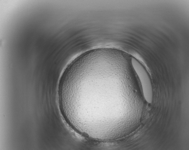 X0000066941088200604142017