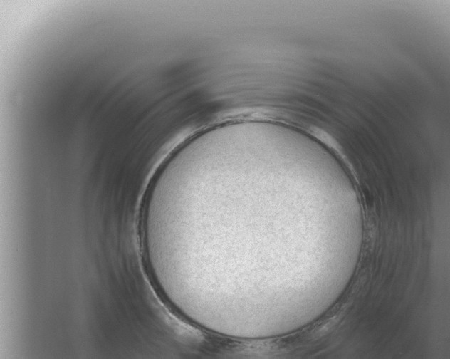 X0000066941090200604142017