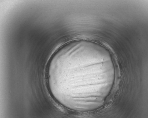 X0000066941091200604142017