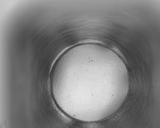 X0000066941092200604142017