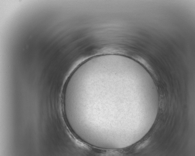 X0000066941094200604142017