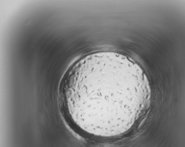 X0000066941095200604142017