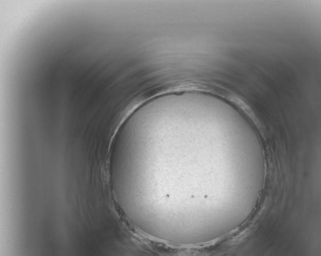 X0000066941097200604142017