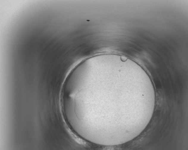 X0000066941098200604142017