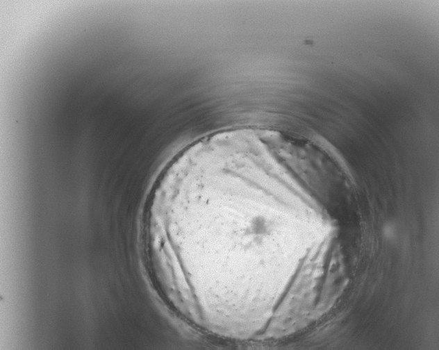 X0000066941099200604142017