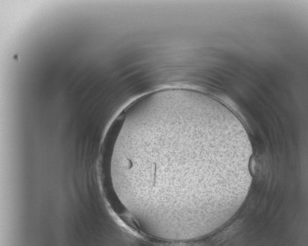 X0000066941100200604142017