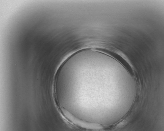 X0000066941101200604142017