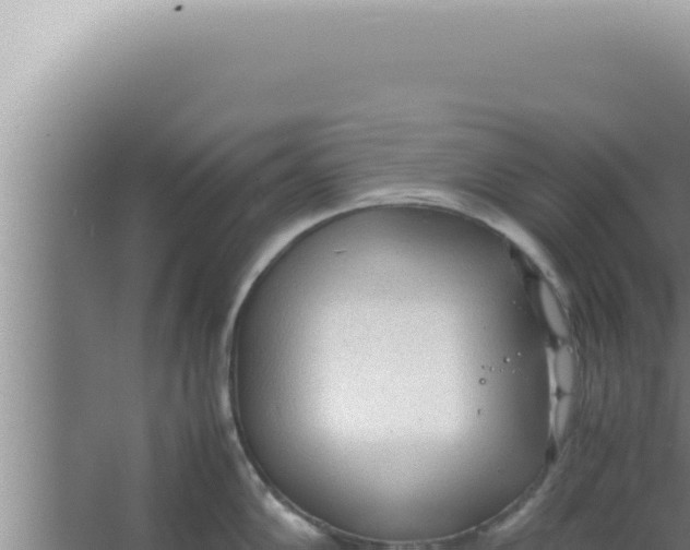 X0000066941102200604142017