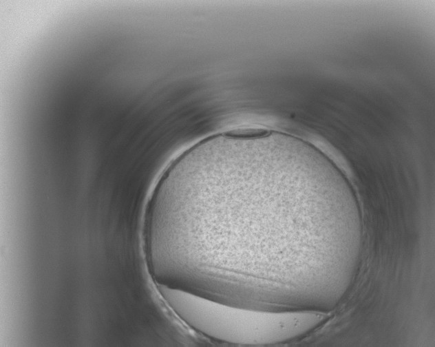 X0000066941104200604142017