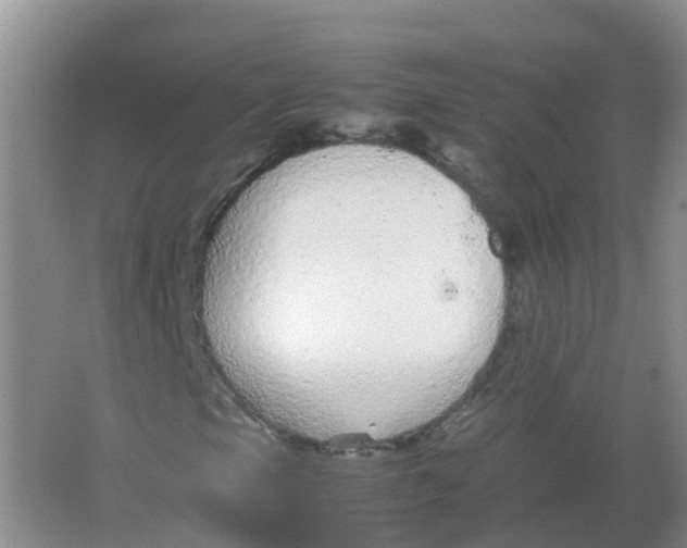 X0000066941105200604142016