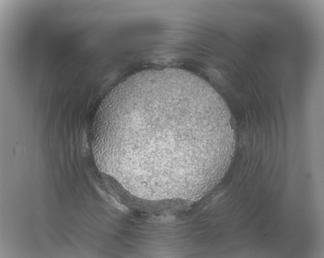 X0000066941106200604142016