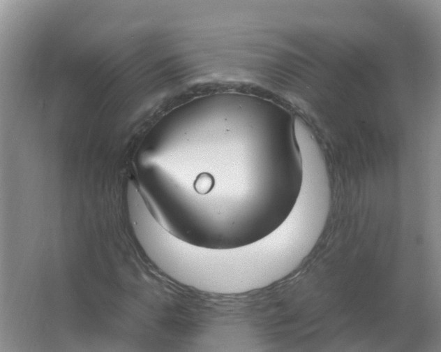 X0000066941110200604142016