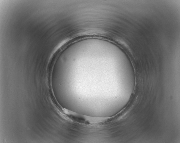 X0000066941114200604142016