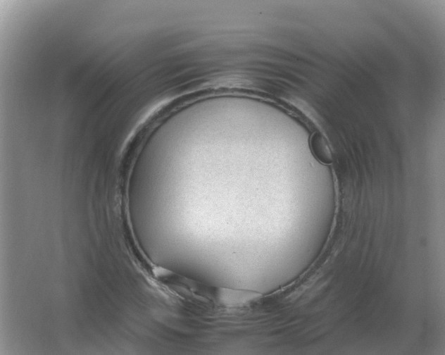 X0000066941115200604142016