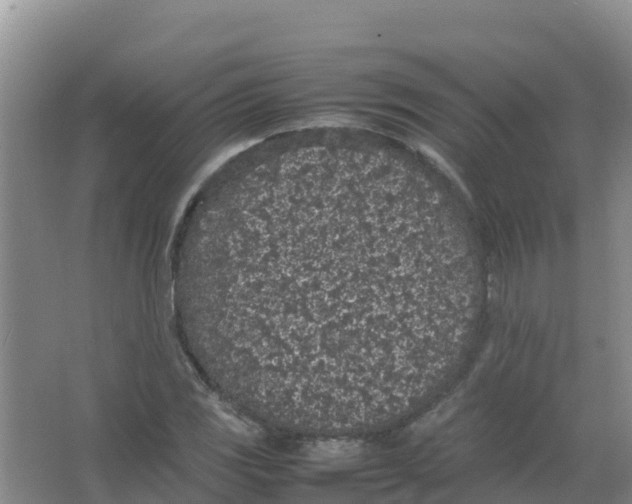 X0000066941117200604142016