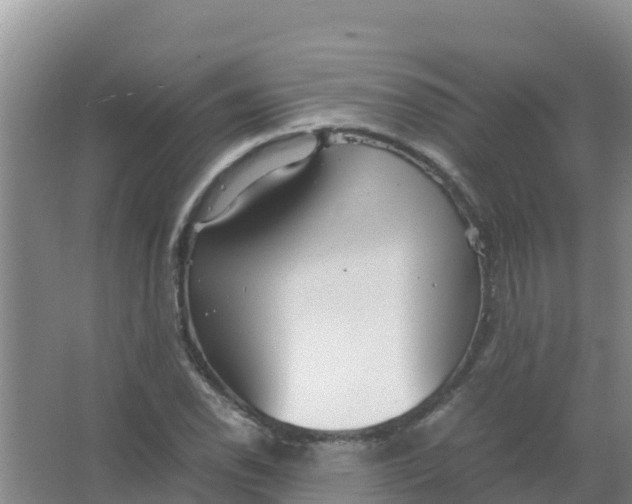 X0000066941118200604142016