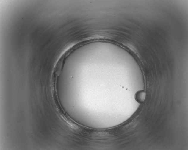 X0000066941119200604142016