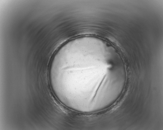 X0000066941121200604142016