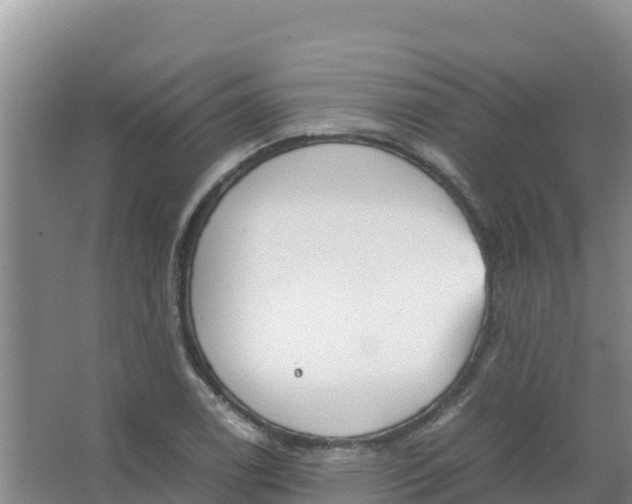 X0000066941122200604142016