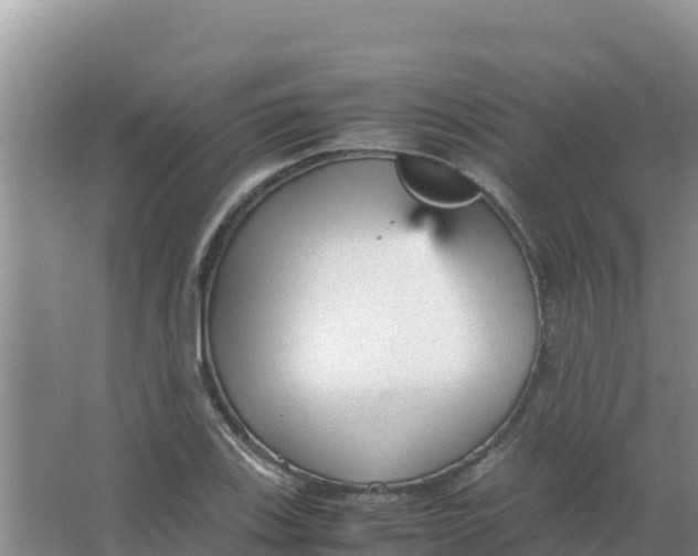 X0000066941123200604142016