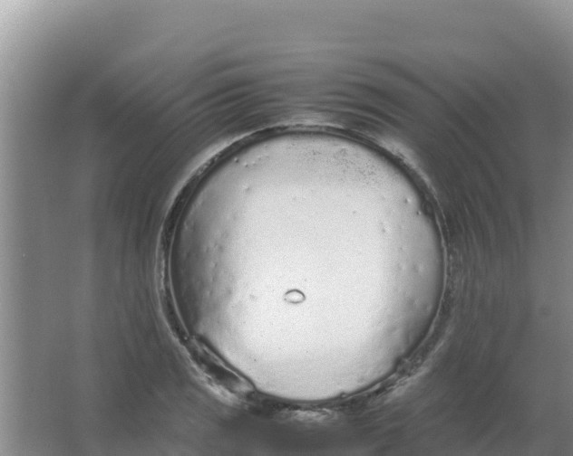 X0000066941125200604142016