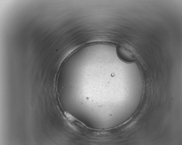 X0000066941129200604142017