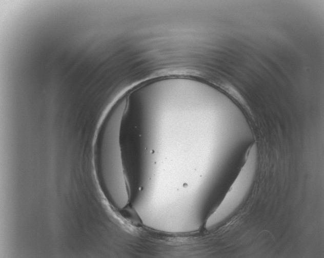 X0000066941132200604142017