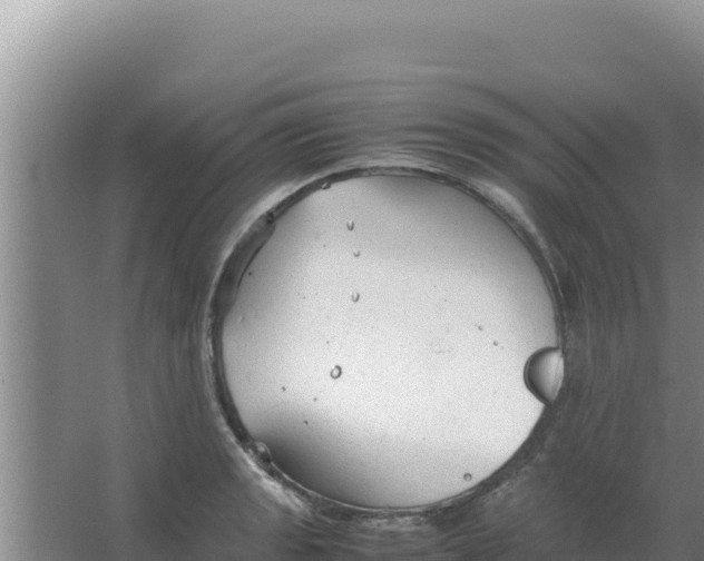 X0000066941133200604142017