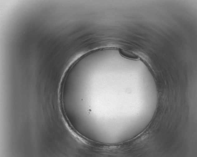 X0000066941135200604142017