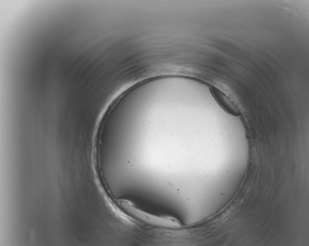 X0000066941136200604142017