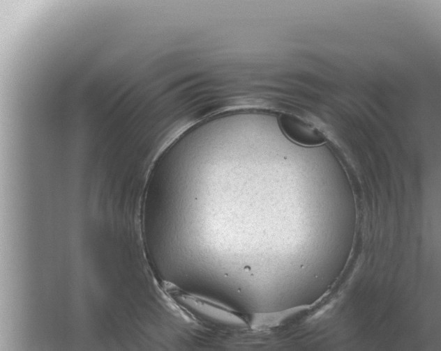 X0000066941137200604142017