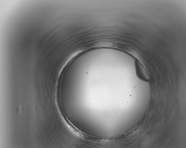 X0000066941139200604142017