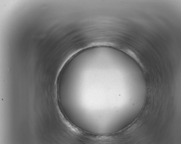 X0000066941140200604142017