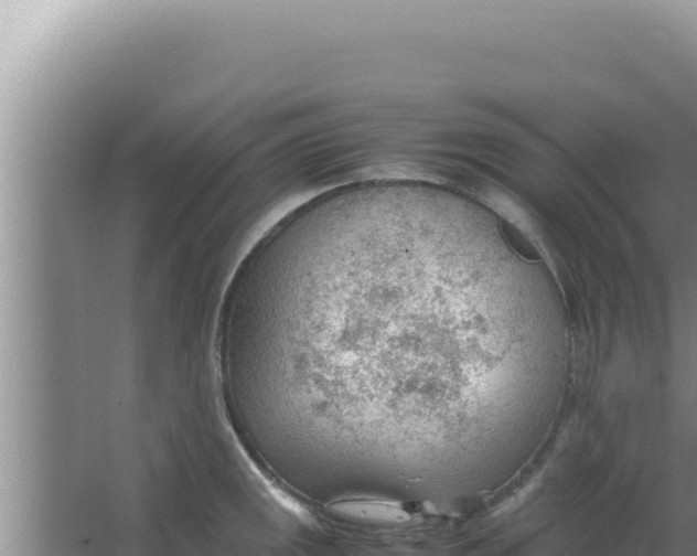 X0000066941141200604142017