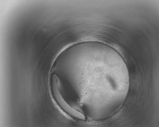 X0000066941142200604142017