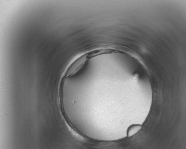 X0000066941143200604142017