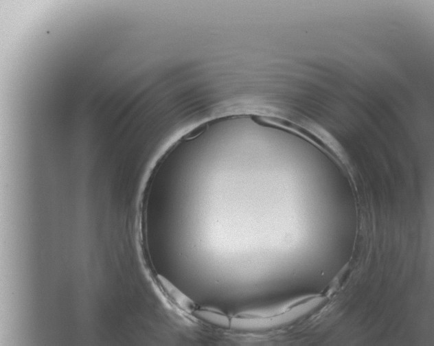 X0000066941144200604142017