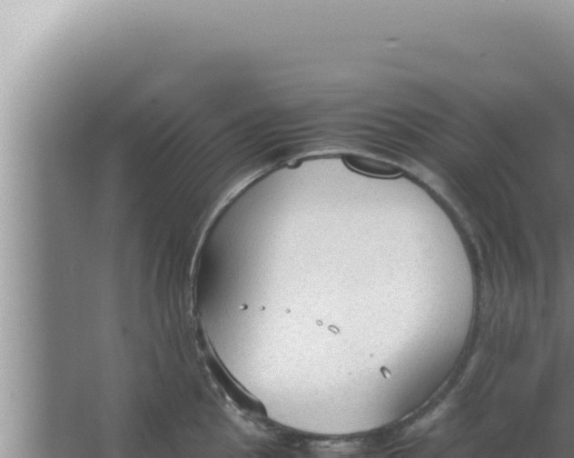 X0000066941145200604142017