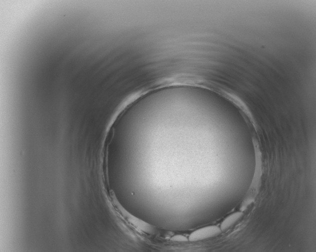 X0000066941146200604142017