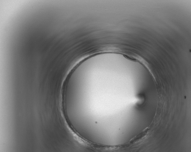 X0000066941147200604142017