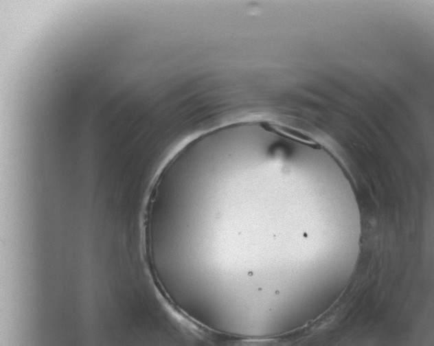 X0000066941151200604142017