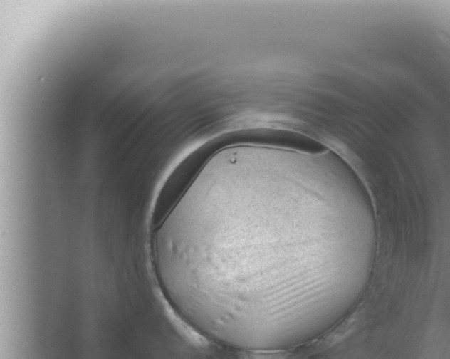 X0000066941152200604142017