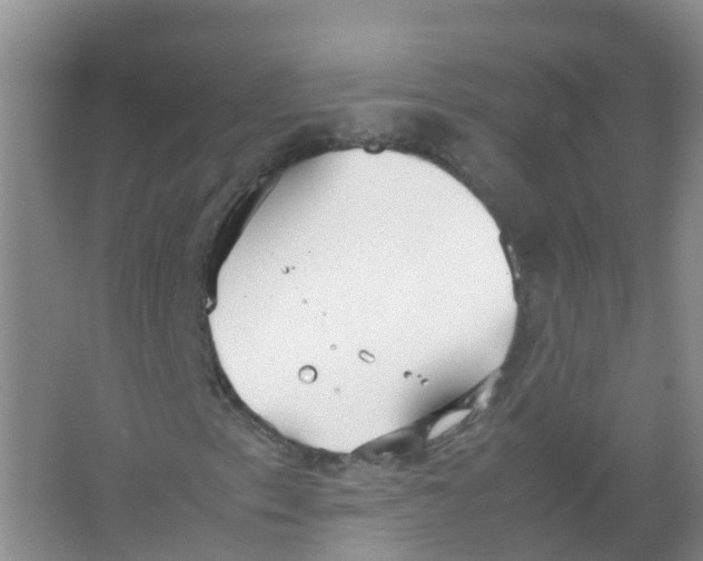 X0000066941153200604142016