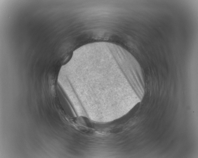 X0000066941154200604142016